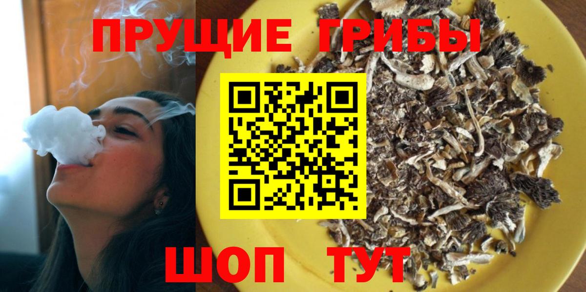 Псилоцибиновые грибы MAGIC MUSHROOMS Махачкала