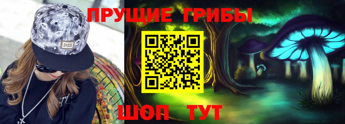 Махачкала  Псилоцибиновые грибы ЛСД  Вход с VPN  Псилоцибиновые грибы ЛСД 