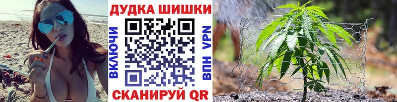 Марихуана сатива  Махачкала 